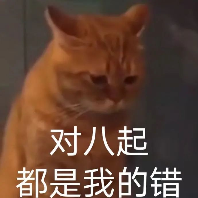 对八起都是我的错(猫咪表情包)