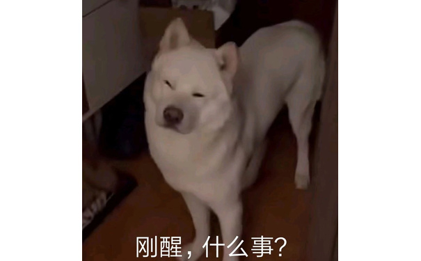 刚醒,什么事?