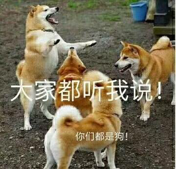 大家都听我说!你们都是狗!(狗子 doge)