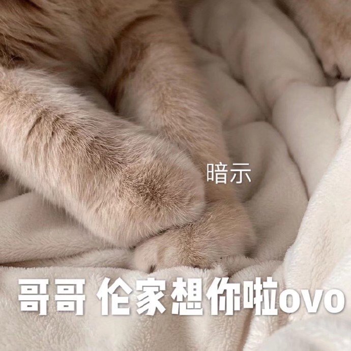 暗示哥哥伦家想你啦ovo - 今日份猫猫表情包