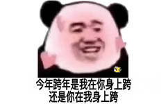 今年跨年是我在你身上跨还是你在我身上跨 - 熊猫头2019年新年表情包