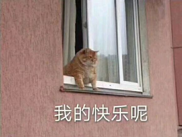 我的快乐呢（橘猫表情包）