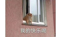 我的快乐呢（橘猫表情包）