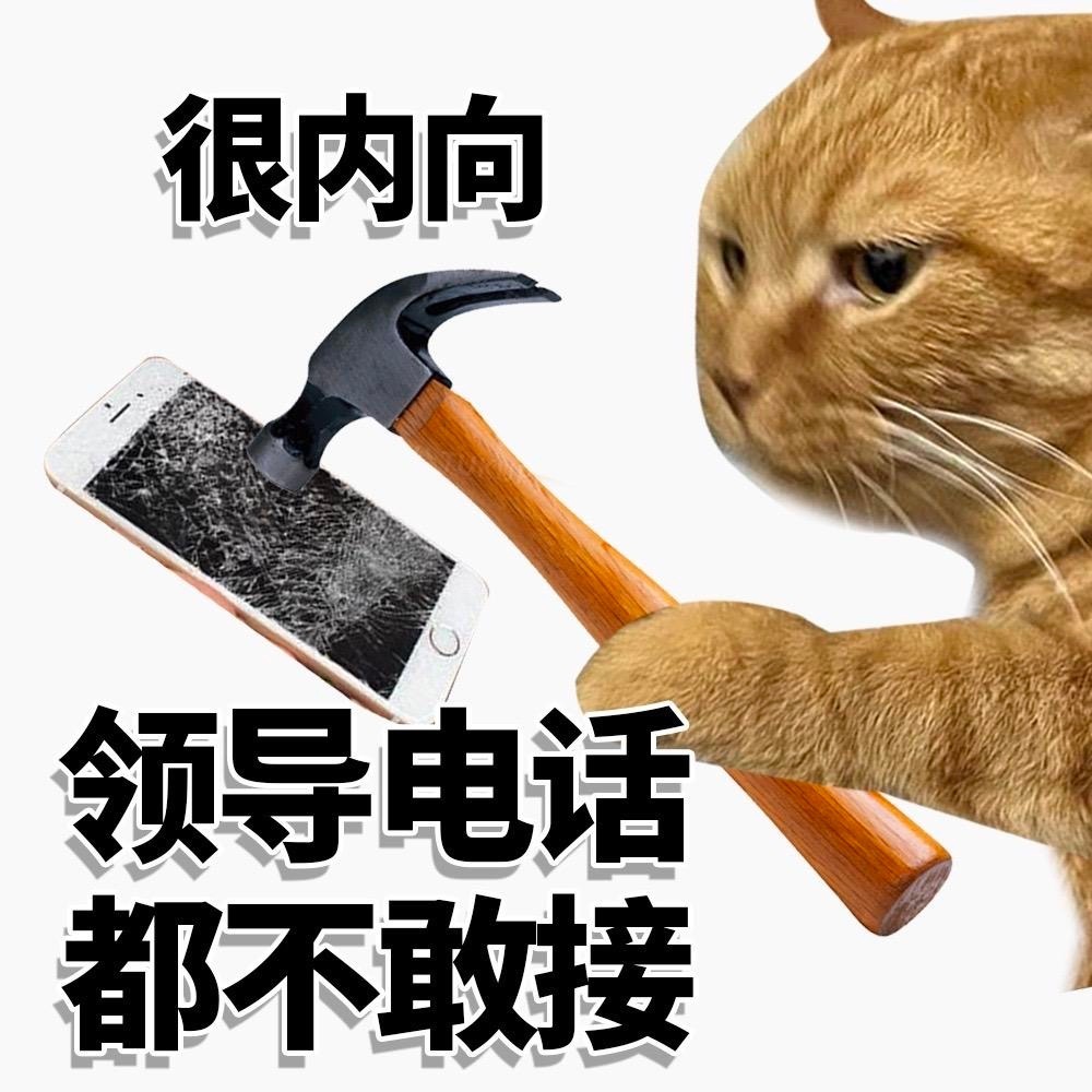 很内向领导电话都不敢接 - 很内向很外向猫猫表情包