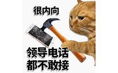 很内向领导电话都不敢接 - 很内向很外向猫猫表情包