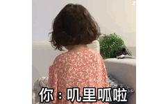 我：不要吵 - 罗熙GIF 动态表情包