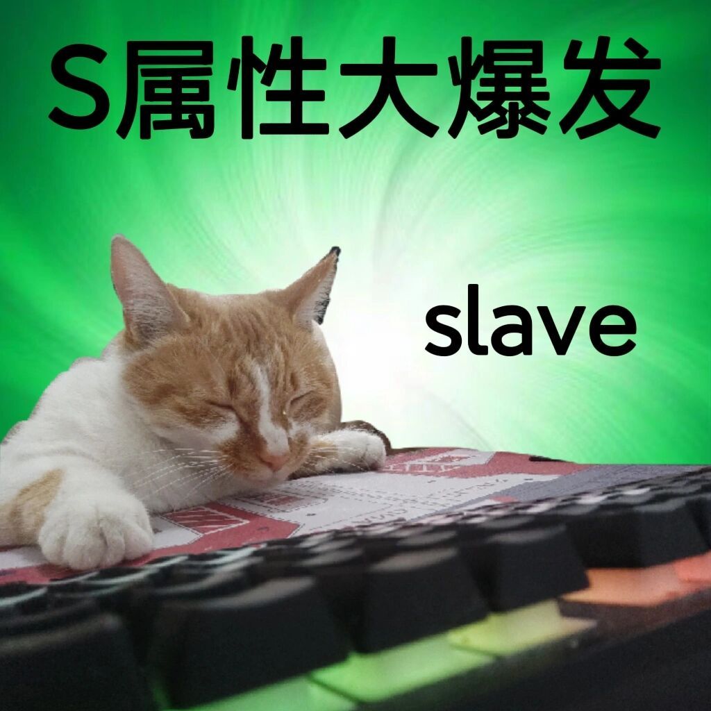 S属性大爆发slave - S属性大爆发表情包