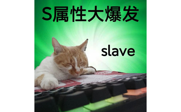 S属性大爆发slave - S属性大爆发表情包