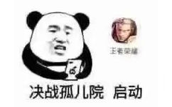 决战孤儿院启动 - 王者荣耀打游戏表情包