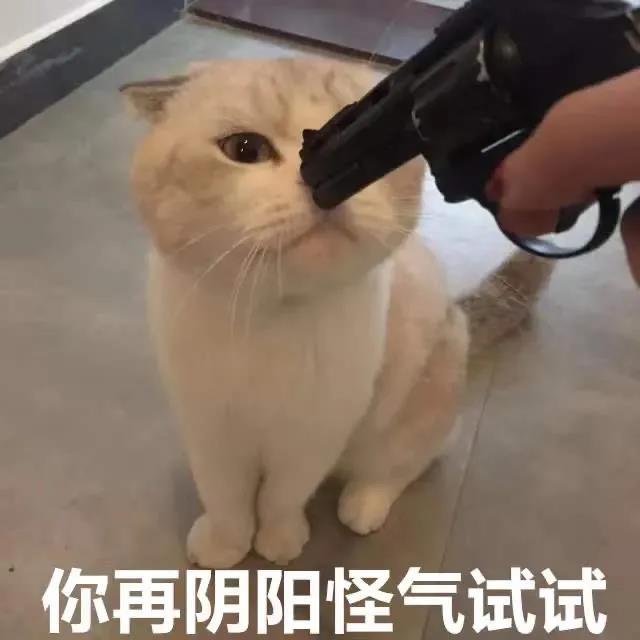 你再阴阳怪气试试(猫猫表情包)