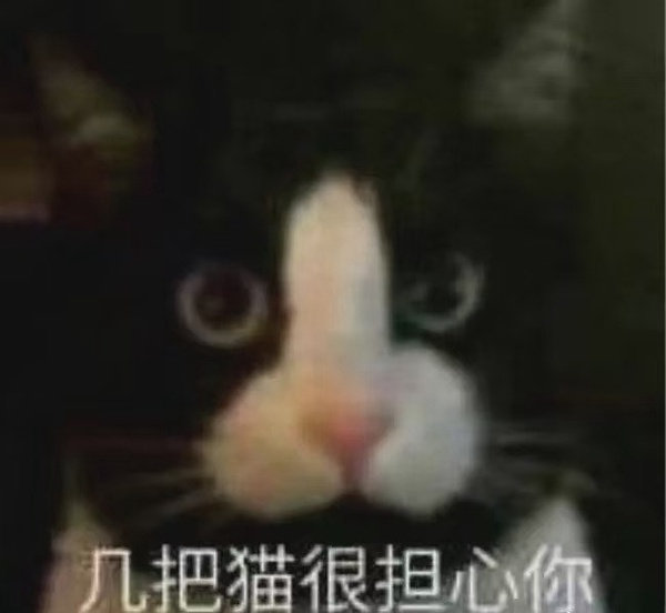 几把猫很担心你