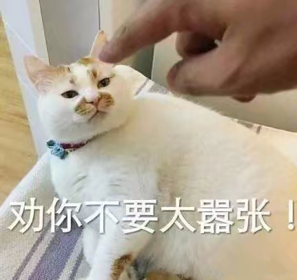 劝你不要太嚣张(猫咪)