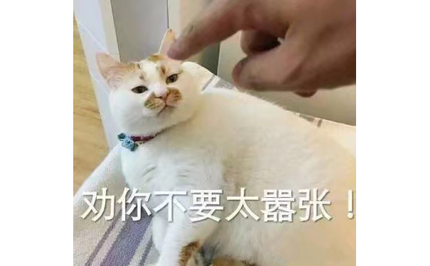 劝你不要太嚣张(猫咪)