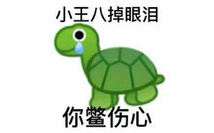 小王八掉眼泪你鳖伤心(歇后语表情包)