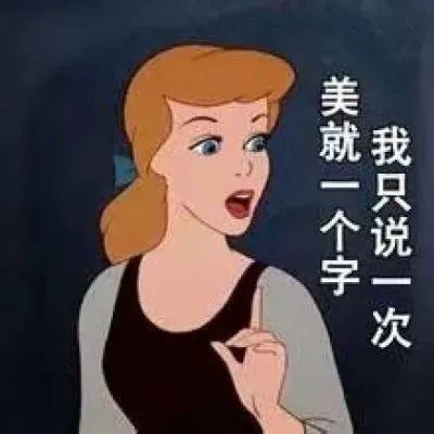 美就一个字我只说一次 - 迪士尼公主表情包