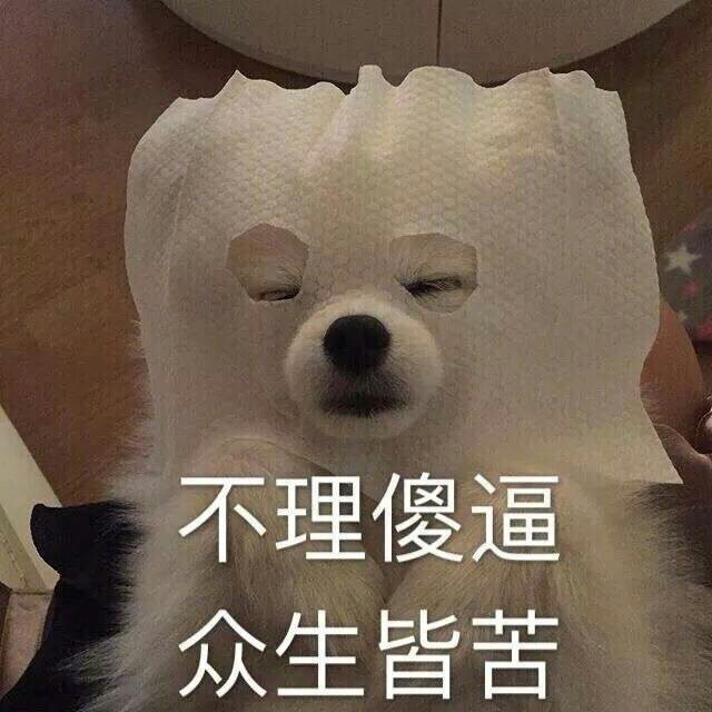 不理傻逼众生皆苦(敷面膜的狗，佛系表情)