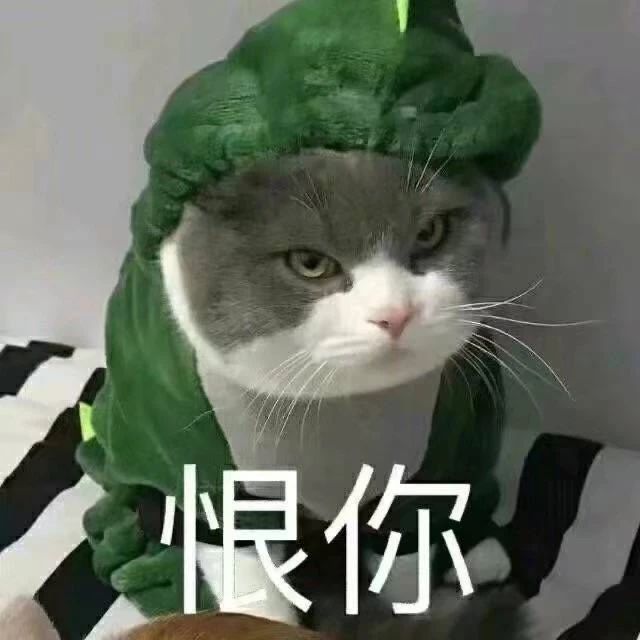 恨你 - 猫猫表情包系列