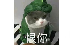 恨你 - 猫猫表情包系列