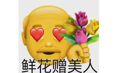 鲜花赠美人