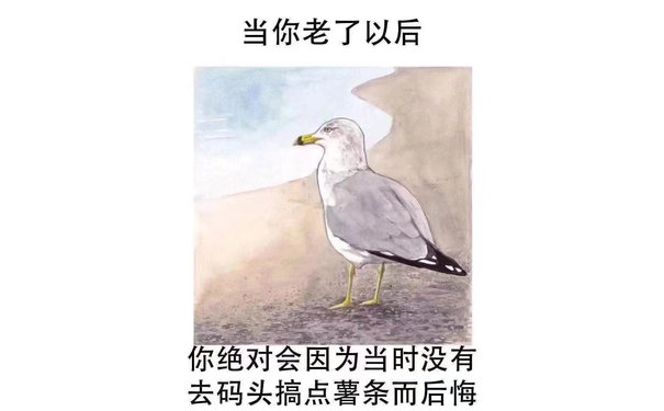 当你老了以后你绝对会因为当时没有去码头搞点薯条而后悔