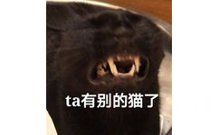 ta有别的猫了