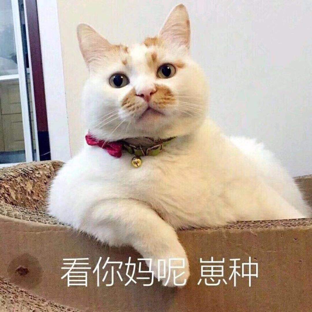 看你妈呢崽种(猫咪楼楼)