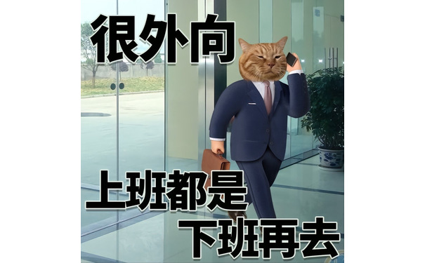 很外向上班都是下班再去 - 很内向很外向猫猫表情包