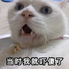 当时我就吓傻了