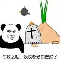 你这么叼,我坟都给你做好了(熊猫头表情包)