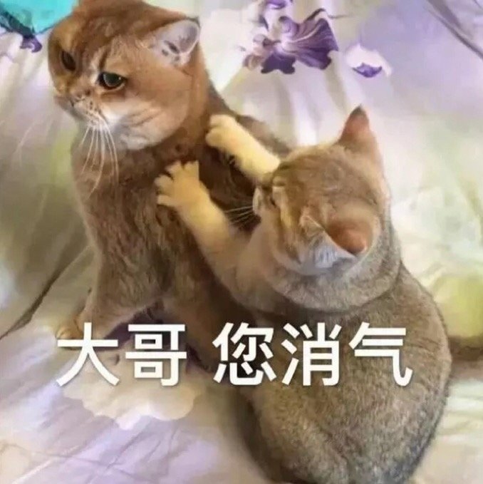 大哥 您消气（猫咪表情包）