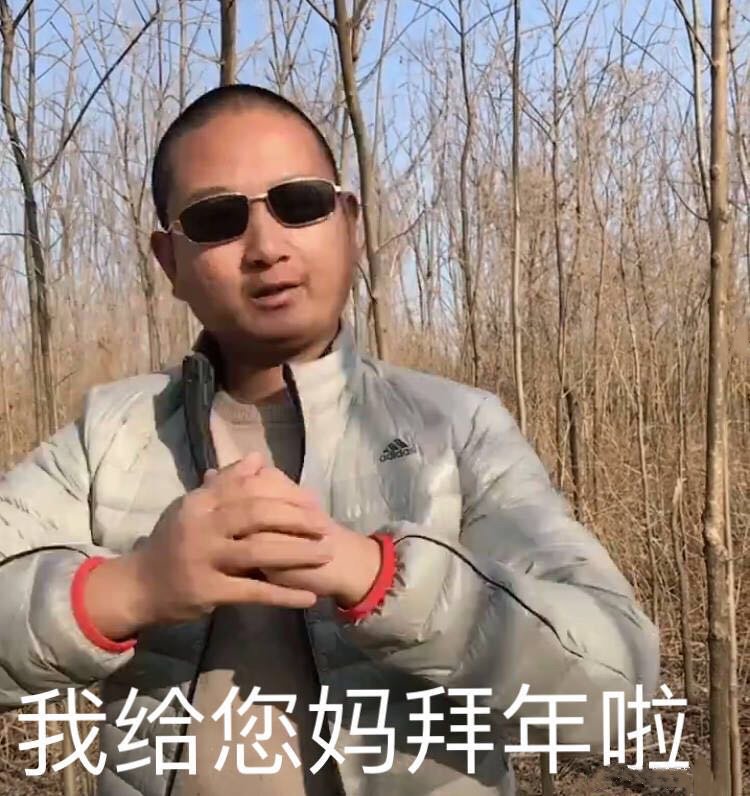 我给您妈拜年啦(快手睾哥 giao哥) - 近期热门斗图表情包精选