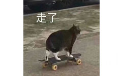 走了(猫咪表情包)