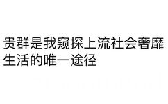 贵群是我窥探上流社会奢靡生活的唯一途径