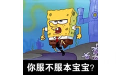 你服不服本宝宝？ - 海绵宝宝表情包