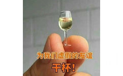 为我们虚假的友谊干杯！ - 爸妈辈中老年表情包