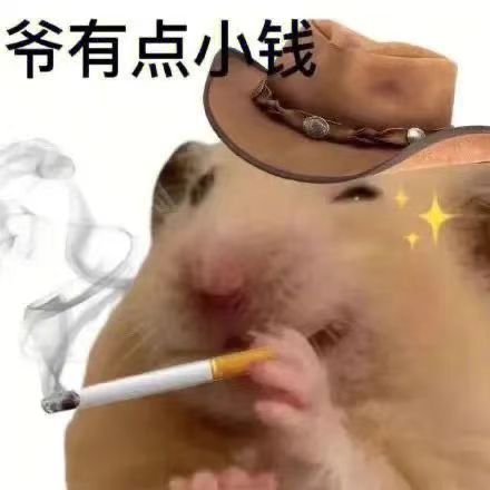 爷有点小钱