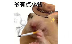 爷有点小钱