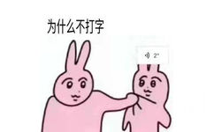 为什么不打字2(语音信息表情包)