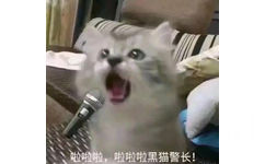 啦啦啦，啦啦啦黑猫警长！