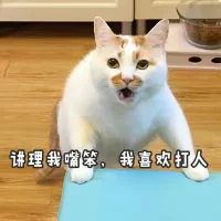 讲理我嘴笨，我喜欢打人（猫咪）