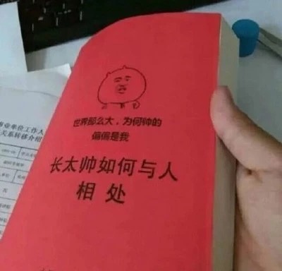 (书)长得帅如何与人相处？（世界那么大，为何帅的偏偏是我）