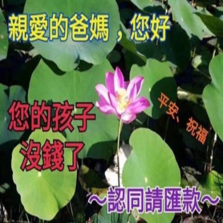 亲爱的爸妈，您的孩子没钱了 请汇款 - 向爸妈讨生活费表情包