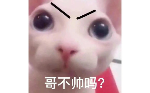 哥不帅吗?