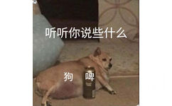 听听你说些什么狗啤