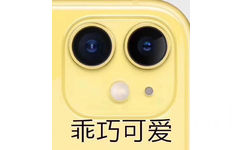 乖巧可爱（iPhone11摄像头表情包） - iPhone11五彩浴霸摄像头表情包