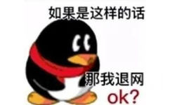 如果是这样的话那我退网ok?