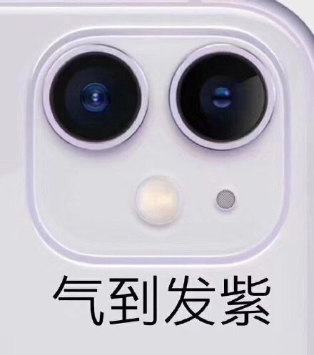 气到发紫（iPhone11摄像头表情包） - iPhone11五彩浴霸摄像头表情包