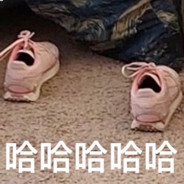 哈哈哈哈哈(鞋子表情包)