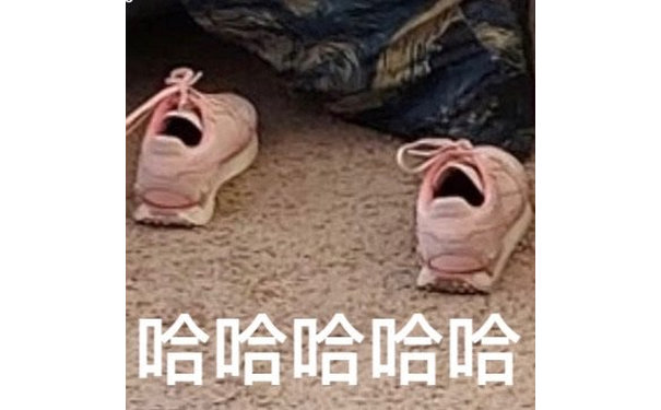 哈哈哈哈哈(鞋子表情包)