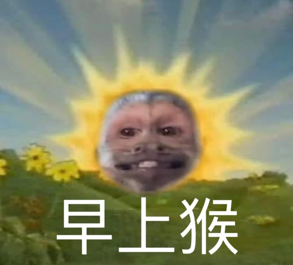 早上猴